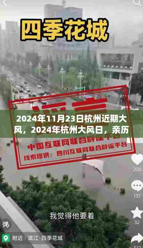 亲历大风下的杭州魅力与挑战，2024年杭州大风日实录