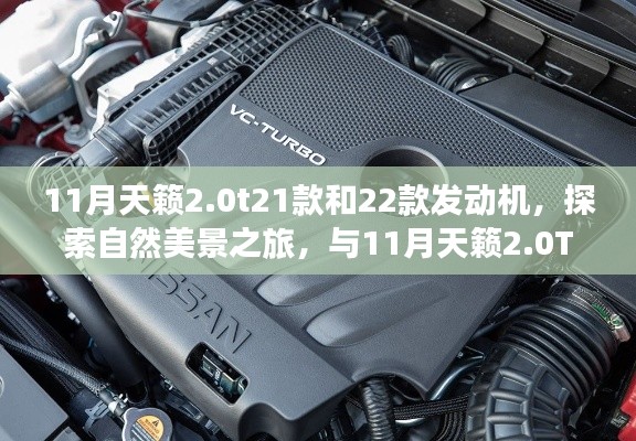 与心灵同行,探索自然美景之旅与11月天籁2.0T 21款与22款发动机的心灵之旅