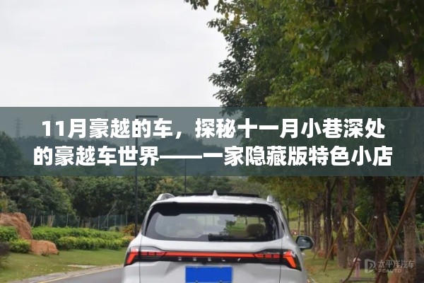 探秘十一月小巷深处的豪越车世界,隐藏版特色小店的非凡之旅