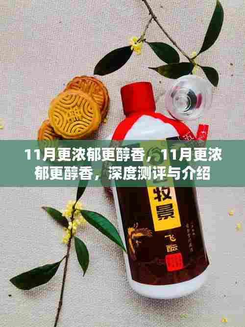 深度测评与介绍,11月,浓郁醇香的季节