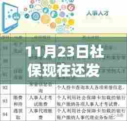 11月23日社保动态，社保卡升级与发放的最新变化，学习铸就自信与成就之路