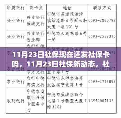 11月23日社保动态,社保卡升级与发放的最新变化,学习铸就自信与成就之路