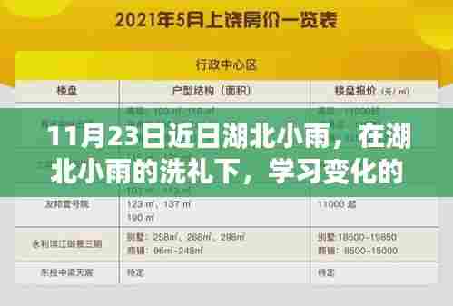 湖北小雨洗礼下的学习力量与自信绽放之旅