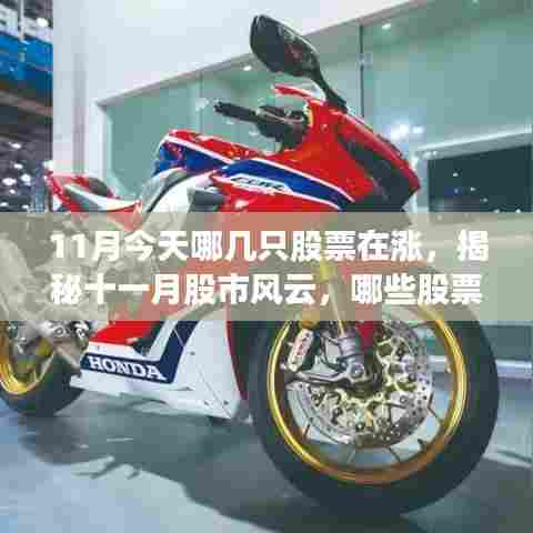揭秘十一月股市风云,哪些股票逆势上扬于今日?