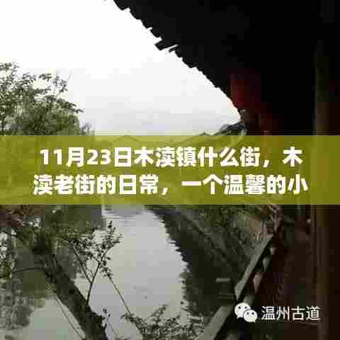 木渎老街温馨日常,11月23日的街角小插曲