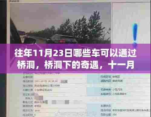 桥洞下的奇遇,十一月二十三日的车辆与友情故事