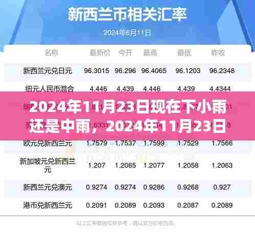 关于我们 第539页