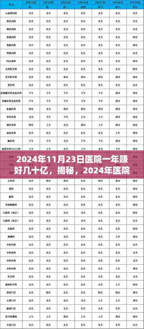 揭秘医院盈利巅峰背后的故事,一年盈利达数十亿,2024年医院运营内幕探究。