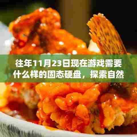 往年11月23日现在游戏需要什么样的固态硬盘,探索自然美景之旅,揭秘理想固态硬盘,启程寻找心灵净土