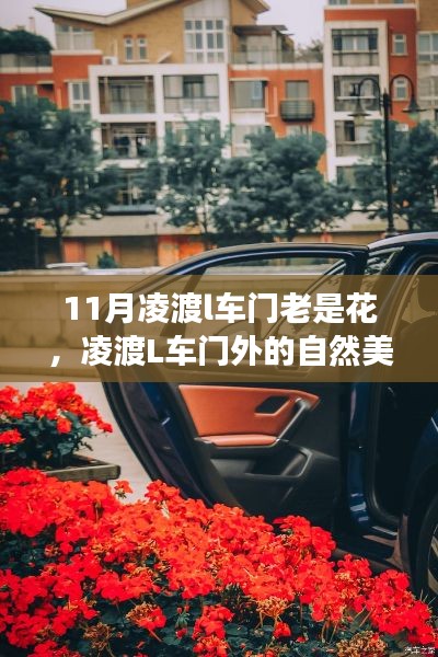 凌渡L车门之旅,探寻自然美景,寻找内心平静