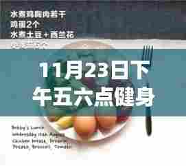 11月23日下午五六点健身营养指南,饮食、恢复与补给策略全解析