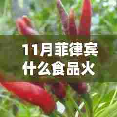 新闻动态 第560页