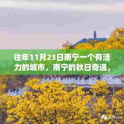 南宁秋日奇遇,活力四溢的温馨城市故事