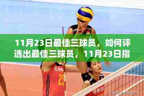11月23日最佳三球员评选指南,从初学者到进阶用户的评选标准全解析