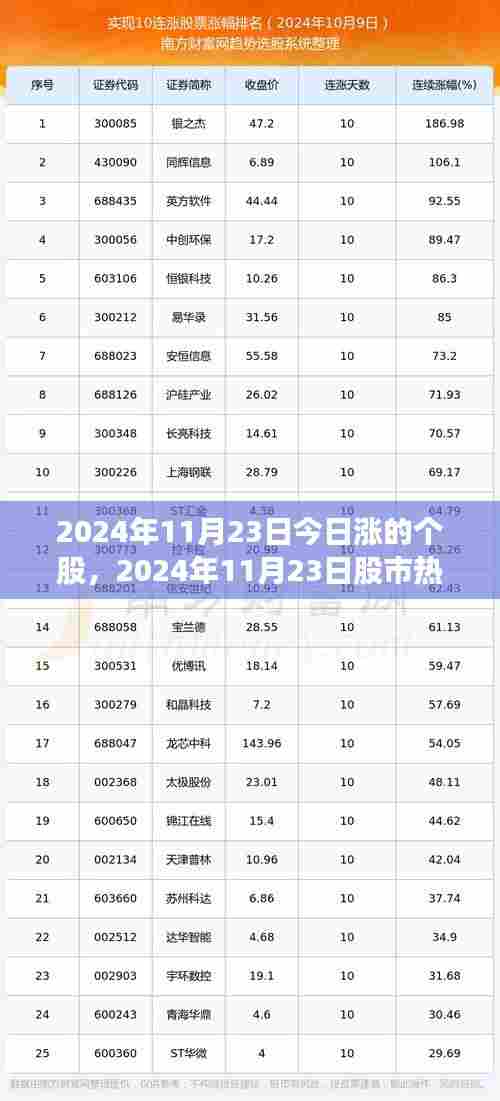 2024年11月23日股市热门个股深度剖析与评测