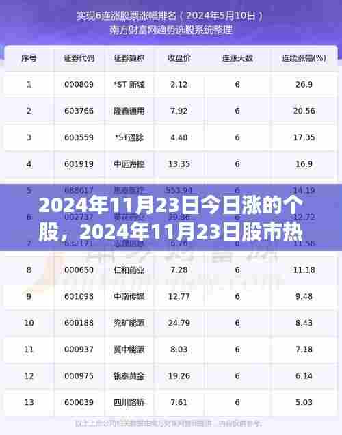 2024年11月23日股市热门个股深度剖析与评测