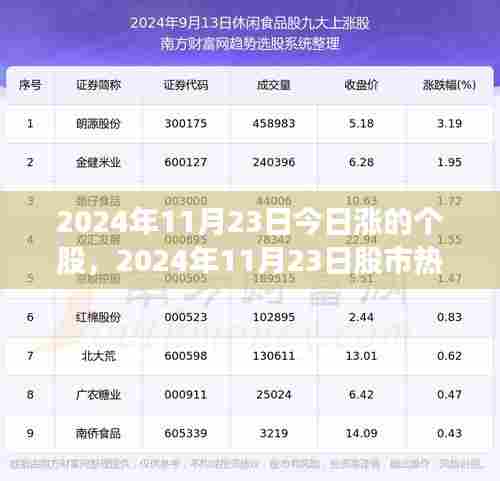 2024年11月23日股市热门个股深度剖析与评测