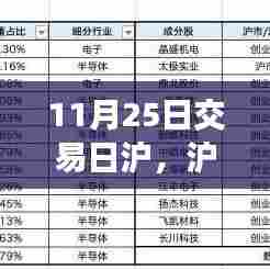 11月25日交易日沪市交易入门指南,成功参与沪市交易的关键步骤