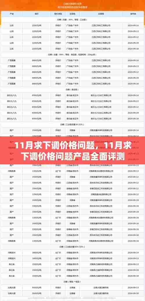 11月求下调价格问题详解，产品全面评测与解析