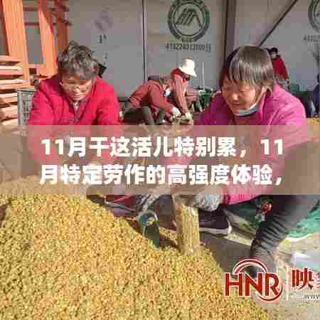 11月高强度劳作体验,特性解读与目标用户群体深度分析
