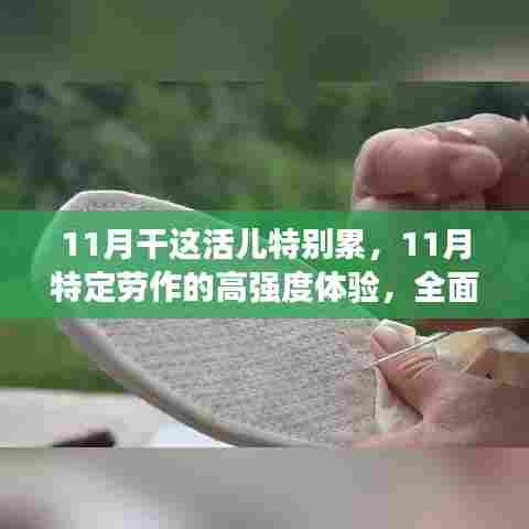 11月高强度劳作体验,特性解读与目标用户群体深度分析
