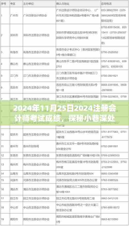 探秘小巷深处的会计梦想验证地,揭秘2024年注册会计师考试成绩揭晓之时!