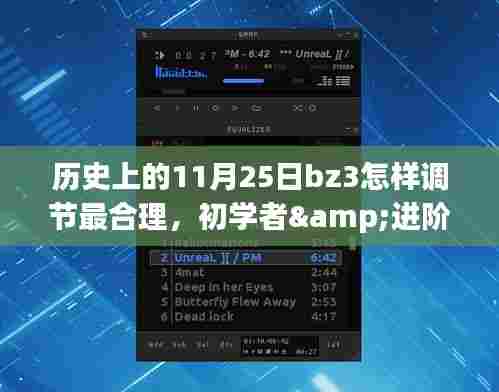 BZ3调节最佳实践步骤指南,历史上的11月25日,适用于初学者与进阶用户的调节指南