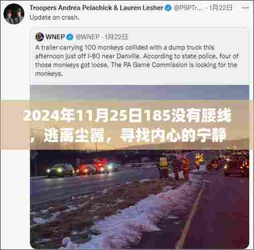 逃离尘嚣,寻找内心的宁静,一场自然美景之旅的启示——2024年11月25日无腰线之旅