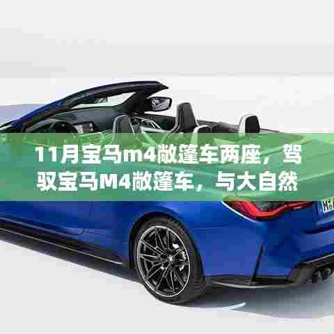 宝马M4敞篷车,与自然美景的私密之约,探寻内心平静的奇幻旅程