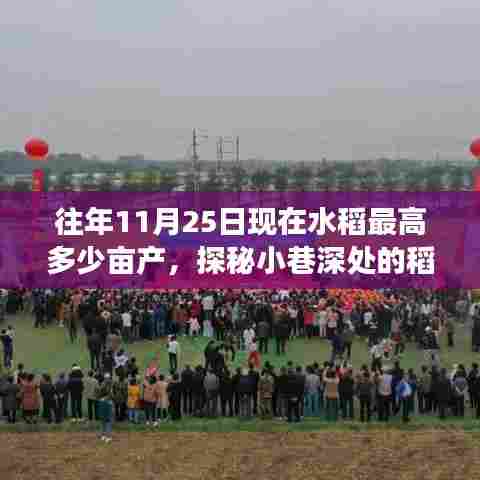 探秘稻香秘境,揭秘水稻高产背后的故事与稻田风味小店,往年水稻最高亩产量揭晓