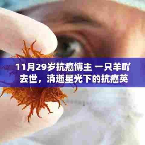 抗癌英雄‘一只羊吖’逝世,星光消逝与小巷美食的纪念