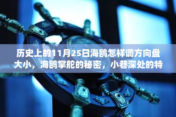 海鸥掌舵的秘密与小巷特色小店背后的方向盘故事,历史上的11月25日揭秘海鸥方向盘调整大小的历史与故事