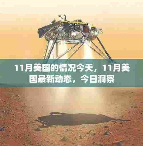 今日美国11月最新动态与洞察