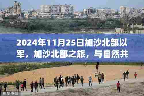 加沙北部之旅,与自然共舞,寻找内心的宁静之时(2024年11月25日以军视角)