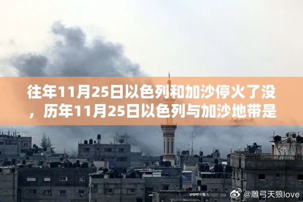 历年11月25日以色列与加沙地带停火情况分析
