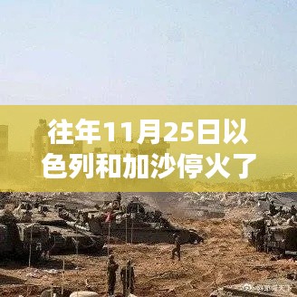 历年11月25日以色列与加沙地带停火情况分析