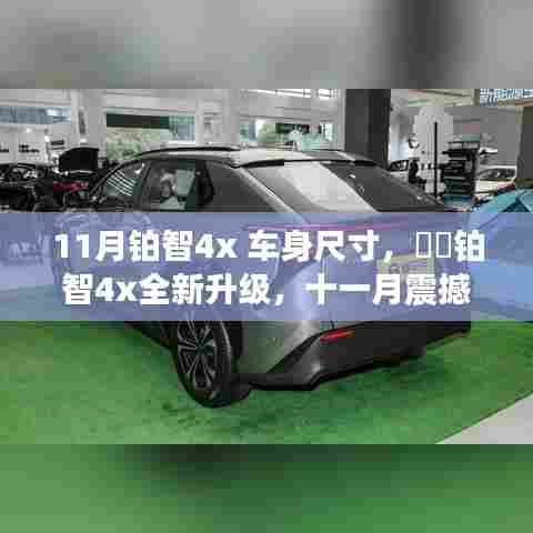 破衲疏羹 第4页