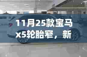 新视角解读,宝马X5轮胎设计之窄胎的优劣探讨