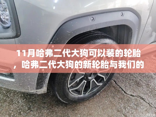 哈弗二代大狗轮胎选购指南,温馨故事与轮胎新选择