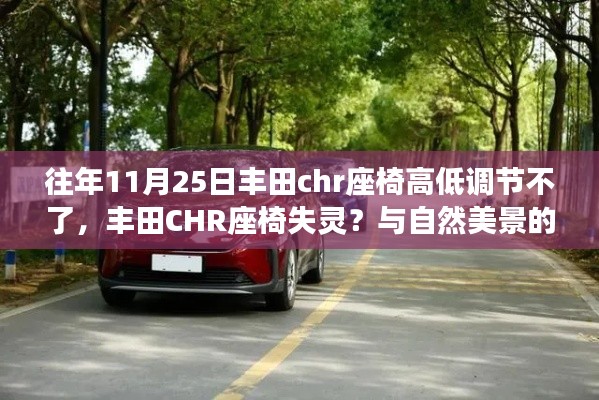 丰田CHR座椅问题与自然美景的奇妙相遇,寻找内心平静之旅