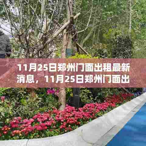 郑州门面出租最新消息与热门选址解析，独家爆料与全面解读