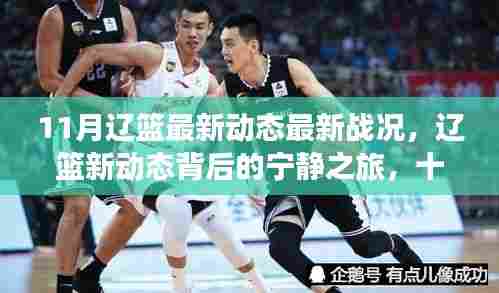 11月辽篮最新动态与宁静之旅，与自然共舞的日子