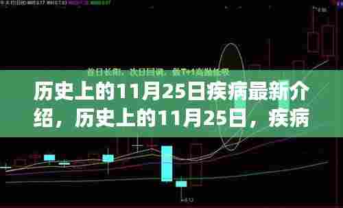 历史上的11月25日,疾病之日的深度解读与最新介绍