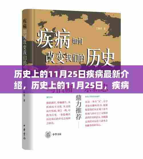 历史上的11月25日,疾病之日的深度解读与最新介绍