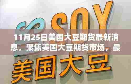 11月25日美国大豆期货市场动态与趋势分析,最新消息一览