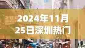 深圳隐秘小巷的神秘患者,特色小店的非凡故事,2024年11月25日热门病例揭秘