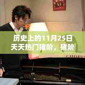 历史上的猪阶温馨时光，11月25日的快乐瞬间