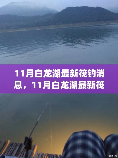 深度探索筏钓乐趣与技巧,揭秘白龙湖最新筏钓消息