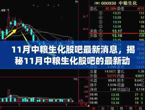 揭秘,中粮生化股吧最新动态与行业展望,聚焦未来发展趋势