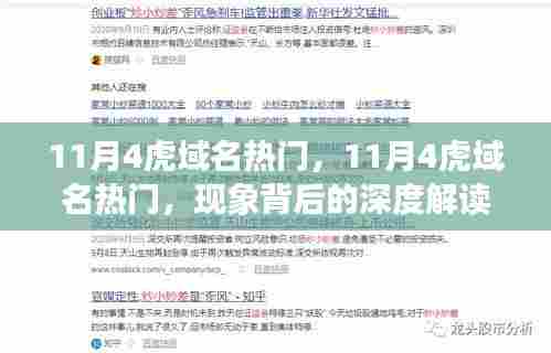 11月4虎域名热门现象深度解读与个人观点分享